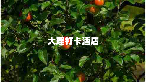 大理打卡酒店 大理打卡酒店