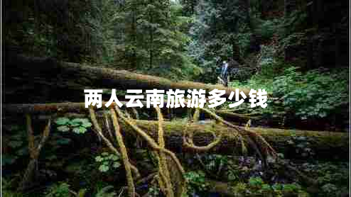 兩人云南旅游多少錢 兩人云南旅游多少錢