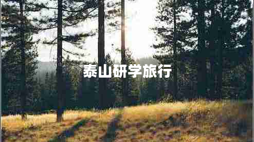 泰山研學旅行 泰山研學旅行