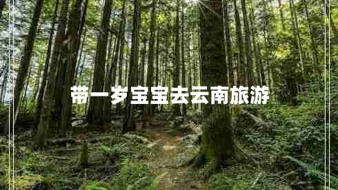 帶一歲寶寶去云南旅游 帶一歲寶寶去云南旅游