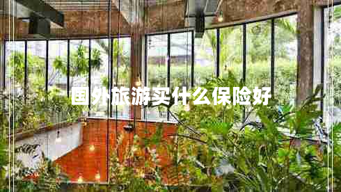 國外旅游買什么保險(xiǎn)好 國外旅游買什么保險(xiǎn)好