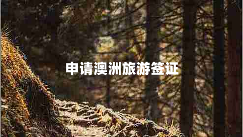 申請(qǐng)澳洲旅游簽證