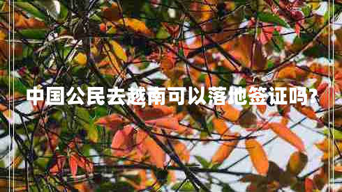 中國(guó)公民去越南可以落地簽證嗎? 中國(guó)公民去越南可以落地簽證嗎?