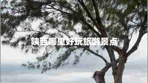 陜西哪里好玩旅游景點