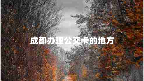 成都辦理公交卡的地方 成都辦理公交卡的地方