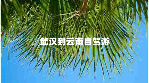 武漢到云南自駕游