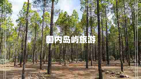 國內(nèi)島嶼旅游 國內(nèi)島嶼旅游