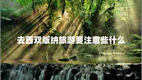 去西雙版納旅游要注意些什么