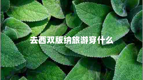 去西雙版納旅游穿什么