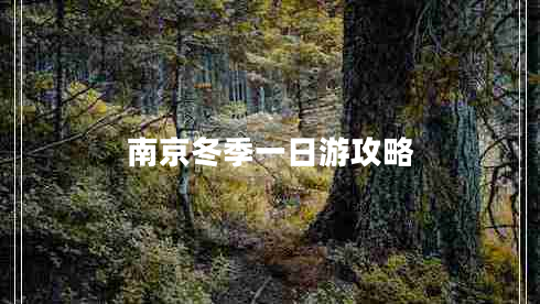 南京冬季一日游攻略