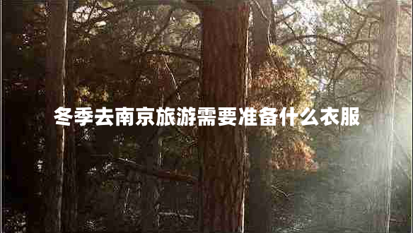 冬季去南京旅游需要準備什么衣服 冬季去南京旅游需要準備什么衣服