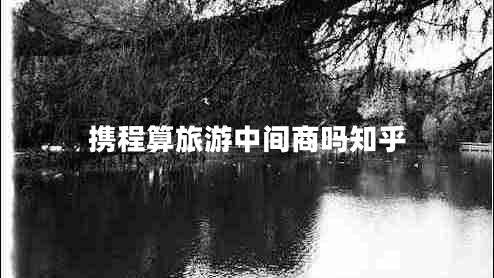 攜程算旅游中間商嗎知乎