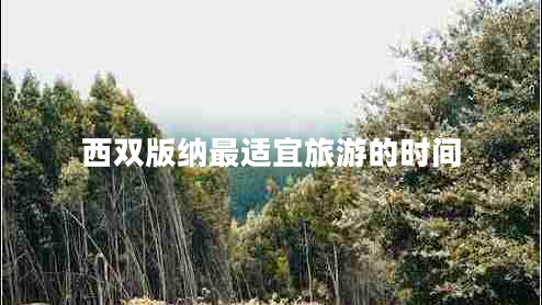 西雙版納最適宜旅游的時(shí)間 西雙版納最適宜旅游的時(shí)間