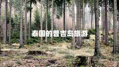 泰國的普吉島旅游