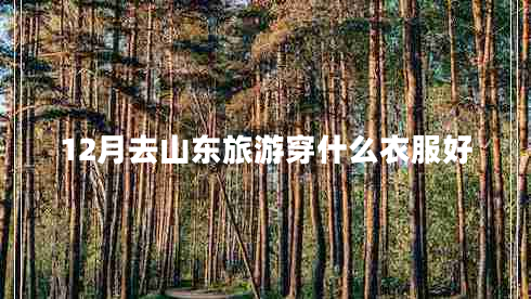 12月去山東旅游穿什么衣服好