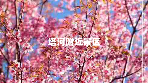 塔河附近景區(qū)
