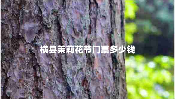 橫縣茉莉花節(jié)門票多少錢 橫縣茉莉花節(jié)門票多少錢