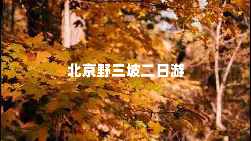 北京野三坡二日游 北京野三坡二日游