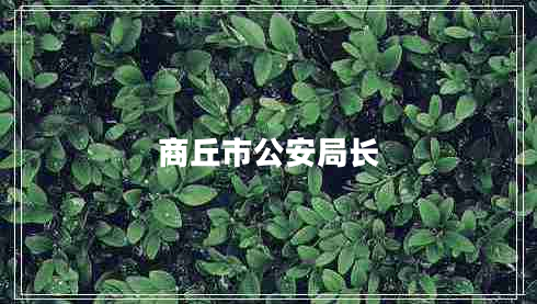 商丘市公安局長 商丘市公安局長