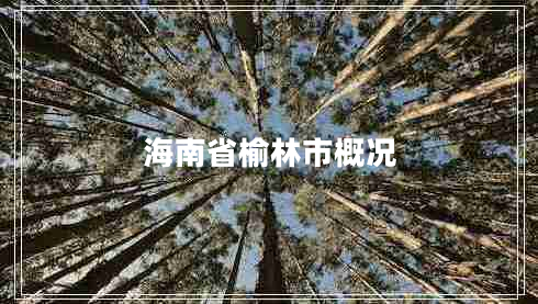 海南省榆林市概況 海南省榆林市概況
