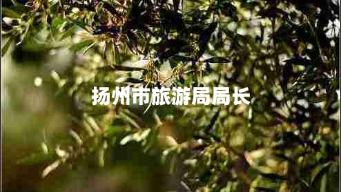 揚(yáng)州市旅游局局長 揚(yáng)州市旅游局局長