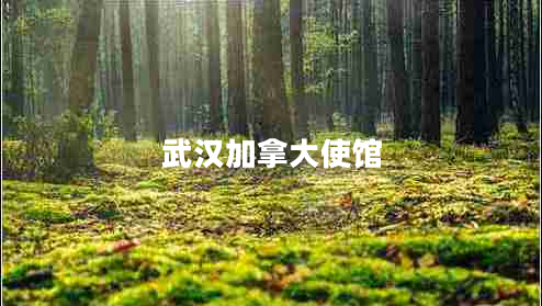 武漢加拿大使館 武漢加拿大使館