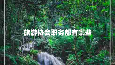 旅游協(xié)會職務(wù)都有哪些