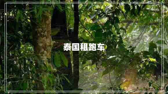 泰國(guó)租跑車 泰國(guó)租跑車