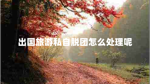 出國旅游私自脫團(tuán)怎么處理呢