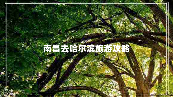 南昌去哈爾濱旅游攻略