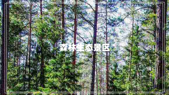 森林生態(tài)景區(qū)