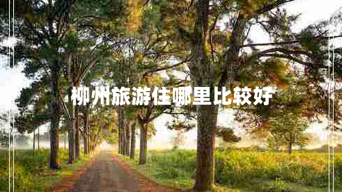 柳州旅游住哪里比較好