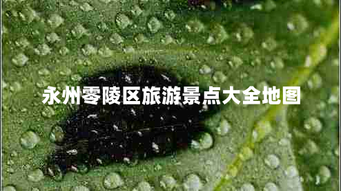 永州零陵區(qū)旅游景點(diǎn)大全地圖 永州零陵區(qū)旅游景點(diǎn)大全地圖