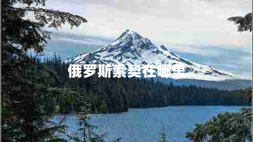 俄羅斯索契在哪里