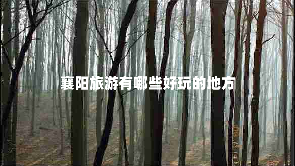 襄陽旅游有哪些好玩的地方