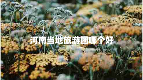 河南當(dāng)?shù)芈糜螆F哪個好 河南當(dāng)?shù)芈糜螆F哪個好