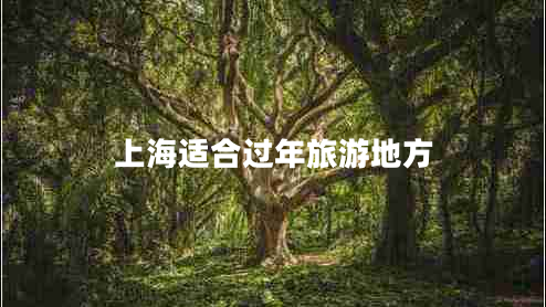 上海適合過年旅游地方 上海適合過年旅游地方