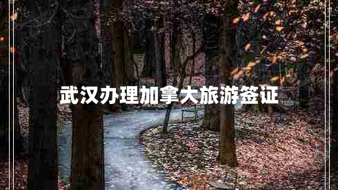 武漢辦理加拿大旅游簽證 武漢辦理加拿大旅游簽證