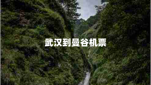 武漢到曼谷機票 武漢到曼谷機票