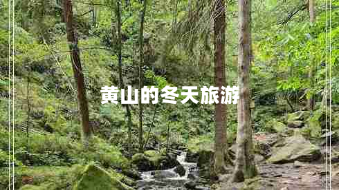 黃山的冬天旅游