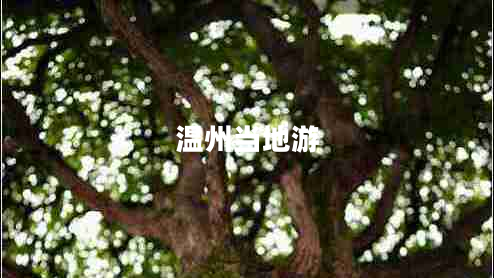 溫州當(dāng)?shù)赜? title=