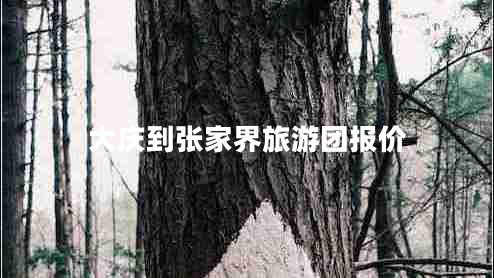 大慶到張家界旅游團報價