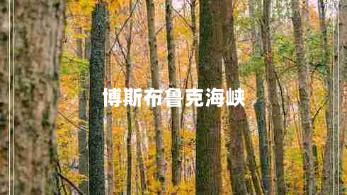 博斯布魯克海峽 博斯布魯克海峽