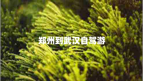 鄭州到武漢自駕游 鄭州到武漢自駕游