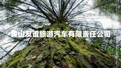 黃山友誼旅游汽車有限責(zé)任公司 黃山友誼旅游汽車有限責(zé)任公司