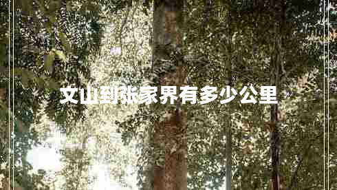 文山到張家界有多少公里 文山到張家界有多少公里