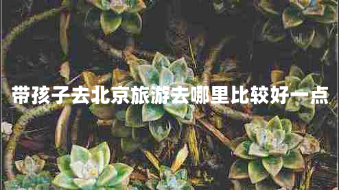 帶孩子去北京旅游去哪里比較好一點(diǎn)