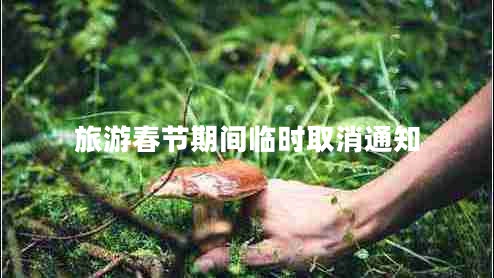 旅游春節(jié)期間臨時取消通知