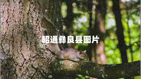 昭通彝良縣圖片 昭通彝良縣圖片