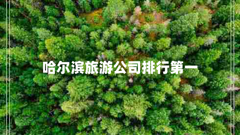 哈爾濱旅游公司排行第一 哈爾濱旅游公司排行第一